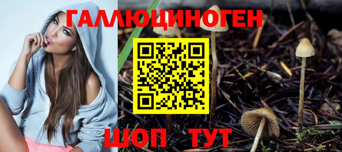Псилоцибиновые грибы Magic Shrooms Дивногорск
