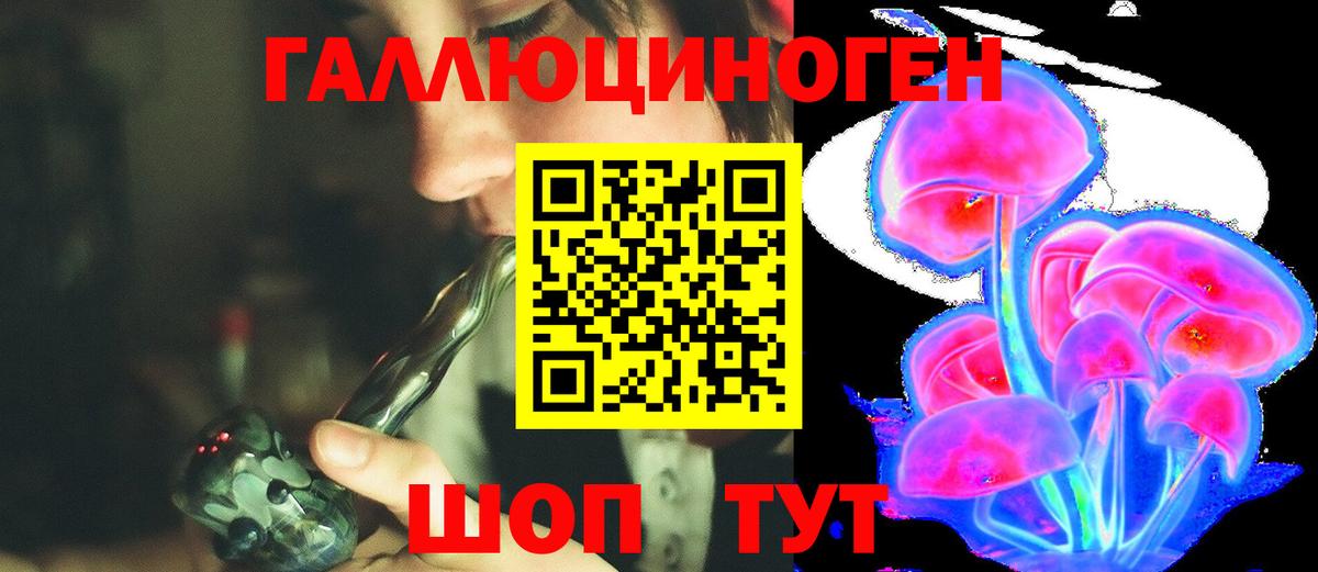Псилоцибиновые грибы Psilocybine cubensis  Вход с VPN  Дивногорск 